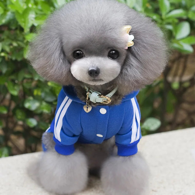 Spring Pet Dog Clothes For Dogs Overalls Pet Jumpsuit Puppy Cat Clothing For Dog Coat Thick Pets Dogs Clothing Chihuahua York