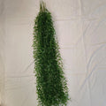 10pc Extra-Long Deluxe Willow Leaf Vine Elegant Artificial Greenery Faux Evergreen Hanging Vine with Dense Green Leaves 2026