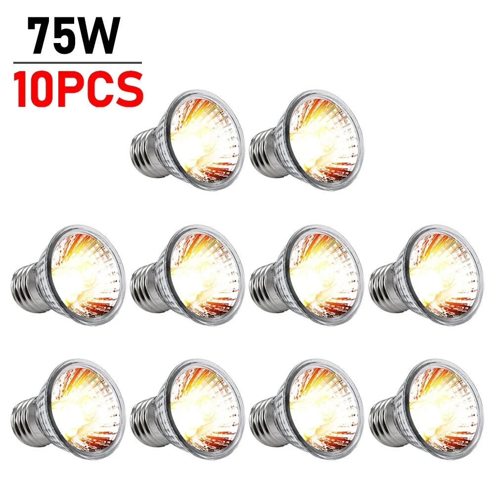 1/2/5/10PCS UVA+UVB Reptile Heat Lamp 25/50/75W Full Spectrum Basking UV Light Bulb for Snakes, Turtles, and Amphibians