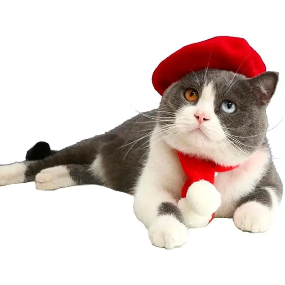 Dog Beret Hats Cat Hats Fashion Four Seasons Funny Wool Winter Pet Hat Mini Monochrome Cat Beret Cute Pet Casual Travel Outfit