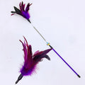 Cat Toy Feather Wand Teaser Interactive Spring Handle Kitten Toy with Bell Training Stick Pet Supplies