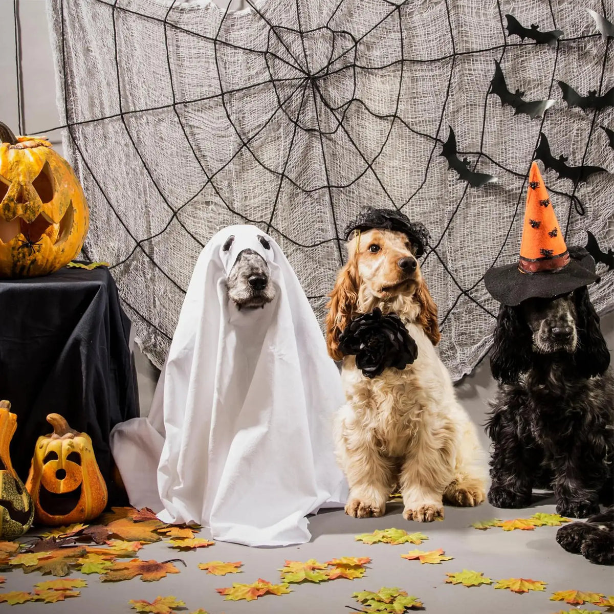 White Dog Halloween Costume Halloween Ghost Pet Cloak Spooky Soft Pet Clothes Breathable Dog Costume for Outdoor Walks Photo