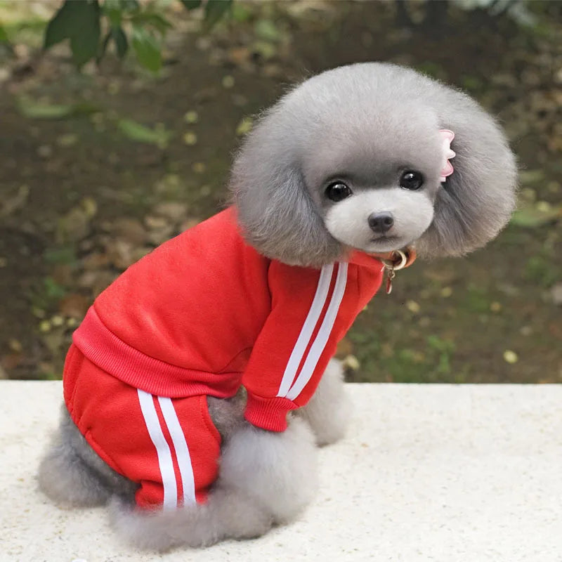 Spring Pet Dog Clothes For Dogs Overalls Pet Jumpsuit Puppy Cat Clothing For Dog Coat Thick Pets Dogs Clothing Chihuahua York