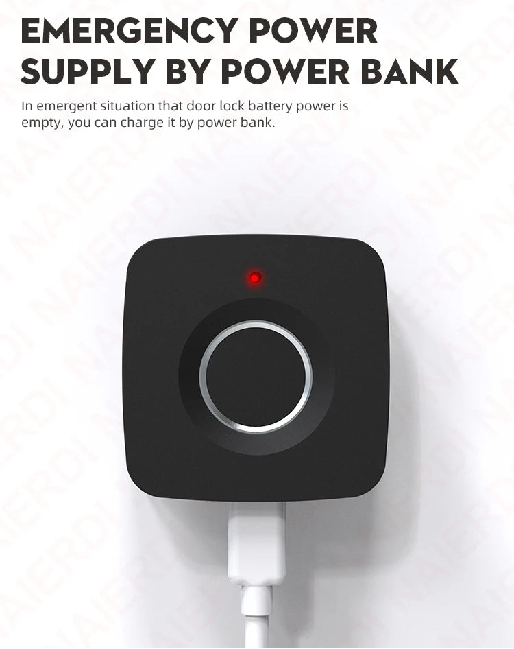 Smart Biometric Cabinet Lock Black Keyless Fingerprint Locks Anti-theft Door Lock Hidden File Drawer Wardrobe Hardware