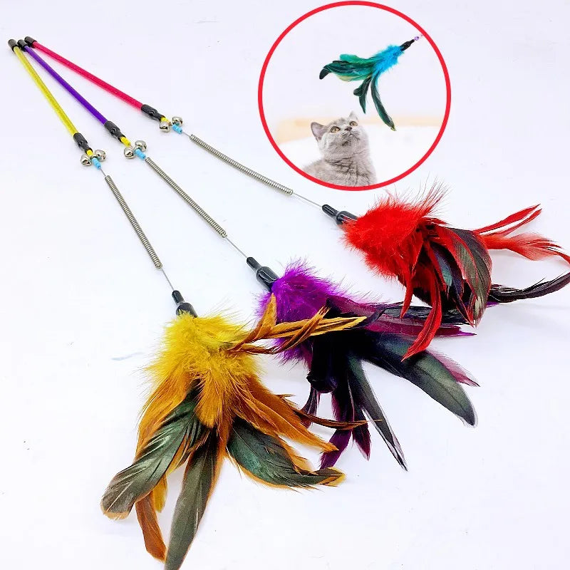 Cat Toy Feather Wand Teaser Interactive Spring Handle Kitten Toy with Bell Training Stick Pet Supplies