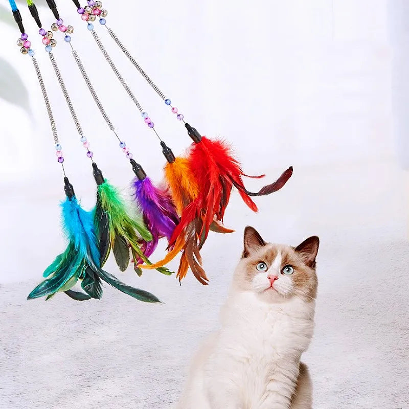 Cat Toy Feather Wand Teaser Interactive Spring Handle Kitten Toy with Bell Training Stick Pet Supplies