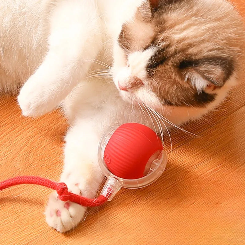 Cat Interactive Ball Toy Automatic Rolling Ball Faux Tail Smart Pet Electric Toy Cat Training Imitate Mouse Toy Pet Supplies