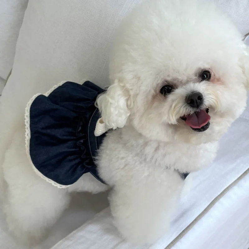 Pet Spring Cat Cowboy Vest Walking Out Chest Back Traction Cute Bow Dress Puppy Clothes Dog Clothes for Small Dogs