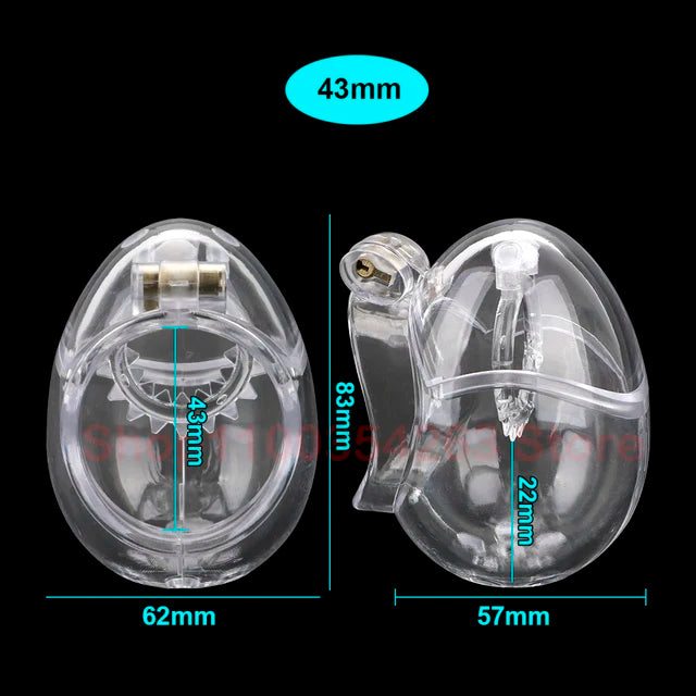 Stainless Steel Fully Restraint Male Chastity Devices With Thorn Ring,Scrotum Ball Stretcher,Metal Cock Cage,BDSM SexToy For Men